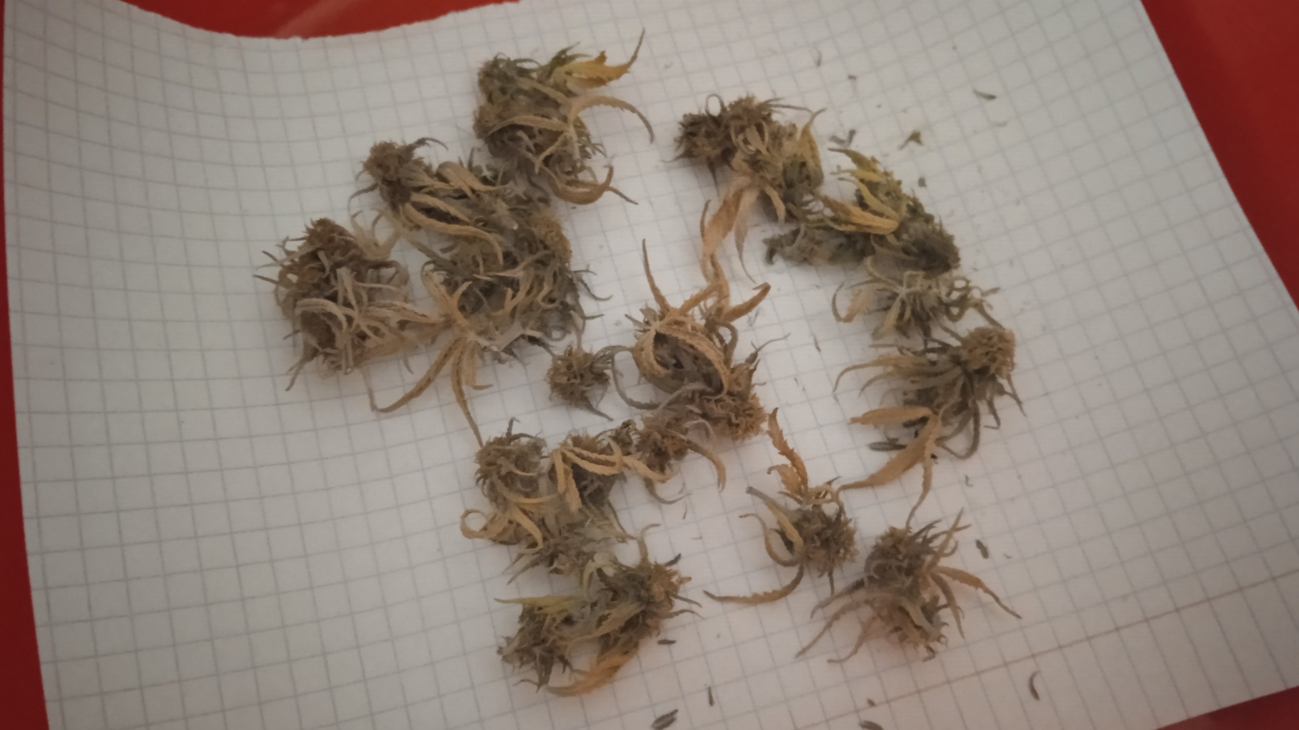 28.04.23 (2).jpg 28.04.23 (2).jpg