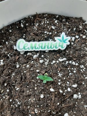 20230428_175452.jpg 20230428_175452.jpg