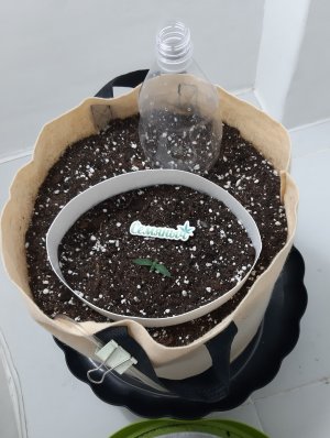 20230428_203746.jpg 20230428_203746.jpg