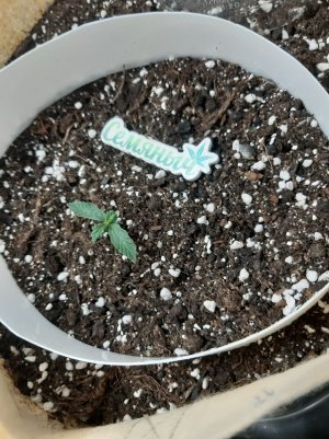 20230428_203658.jpg 20230428_203658.jpg