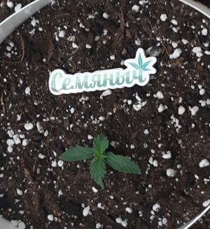 20230106_091950.jpg 20230106_091950.jpg