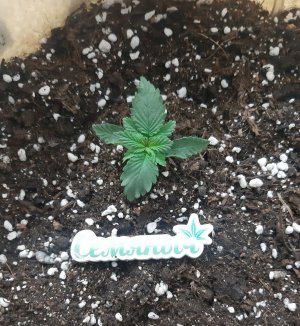 20230429_111504.jpg 20230429_111504.jpg