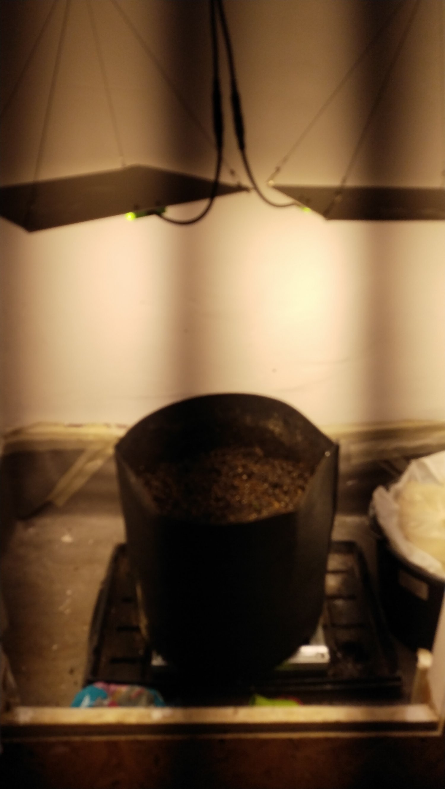 IMG_20230429_201047.jpg IMG_20230429_201047.jpg