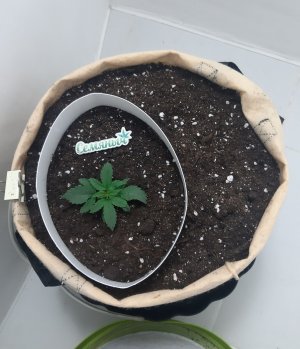 20230430_075138.jpg 20230430_075138.jpg