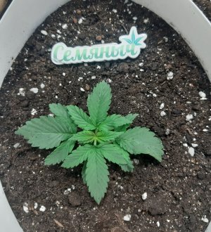 20230430_075116.jpg 20230430_075116.jpg