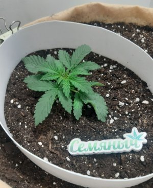 20230430_075826.jpg 20230430_075826.jpg