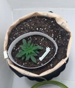 20230501_104605.jpg 20230501_104605.jpg