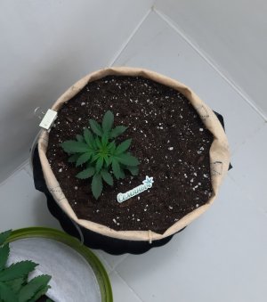 20230501_110639.jpg 20230501_110639.jpg