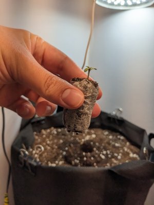 PXL_20230427_215226947.jpg PXL_20230427_215226947.jpg