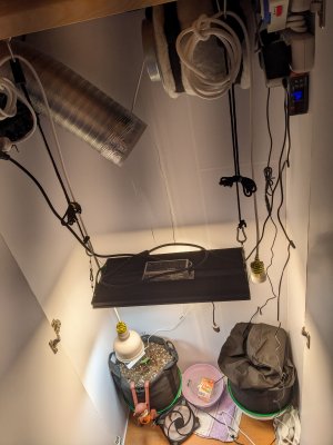 PXL_20230502_013129663.jpg PXL_20230502_013129663.jpg