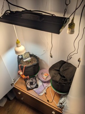 PXL_20230502_003346825.jpg PXL_20230502_003346825.jpg