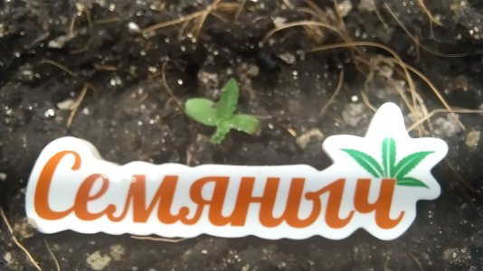 IMG_20230502_103449.jpg IMG_20230502_103449.jpg