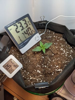 PXL_20230503_235604834.jpg PXL_20230503_235604834.jpg