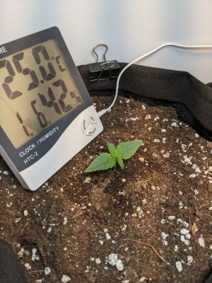 PXL_20230502_200033860.jpg PXL_20230502_200033860.jpg