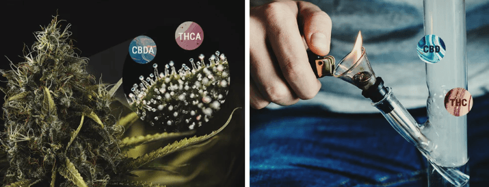 1683210273929.png 1683210273929.png