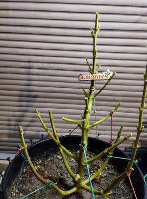 Screenshot_2023-05-04-22-52-38-126_com.miui.gallery-edit.jpg Screenshot_2023-05-04-22-52-38-126_com.miui.gallery-edit.jpg