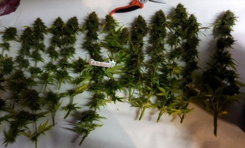 Screenshot_2023-05-04-22-53-24-332_com.miui.gallery-edit.jpg Screenshot_2023-05-04-22-53-24-332_com.miui.gallery-edit.jpg