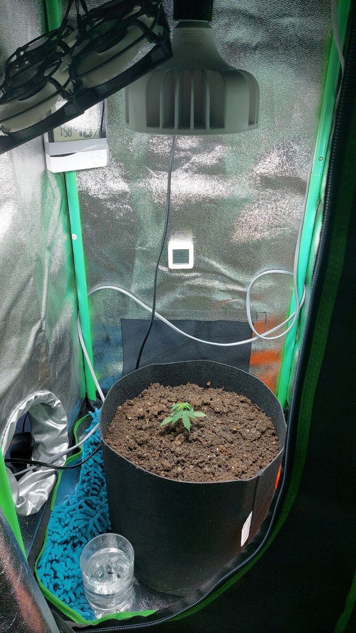 04.05.2023 день.jpg 04.05.2023 день.jpg