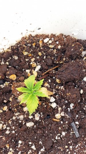 IMG_20230503_101148.jpg IMG_20230503_101148.jpg