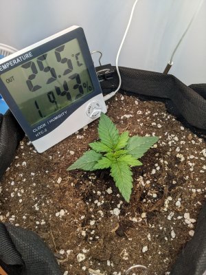 PXL_20230505_203316054.jpg PXL_20230505_203316054.jpg