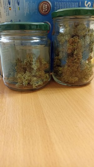 IMG_20230507_092841.jpg IMG_20230507_092841.jpg