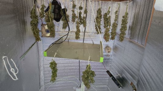 IMG_20230507_114104.jpg IMG_20230507_114104.jpg