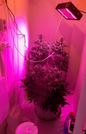 20230508_113513.jpg 20230508_113513.jpg