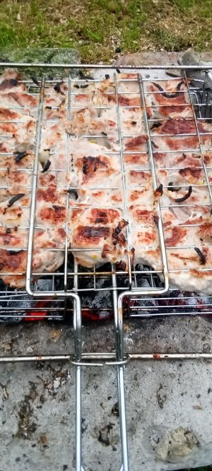 16836412958588305390419656283475.jpg 16836412958588305390419656283475.jpg