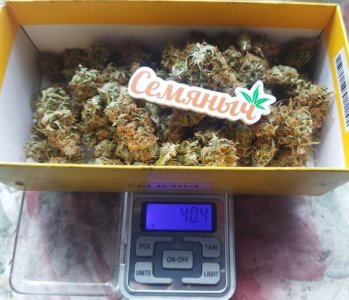 Screenshot_2023-05-11-13-13-50-227_com.miui.gallery-edit.jpg Screenshot_2023-05-11-13-13-50-227_com.miui.gallery-edit.jpg