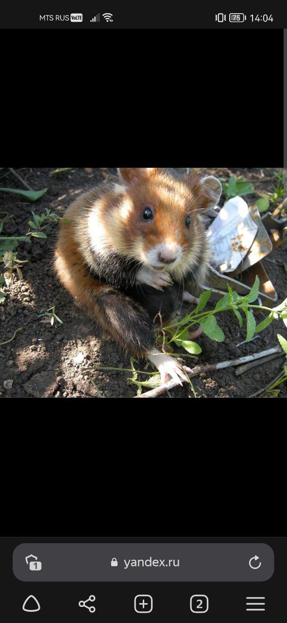 photo_5400199215080130777_y (1).jpg