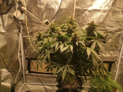 2023-05-12-19-45-39-412.jpg 2023-05-12-19-45-39-412.jpg