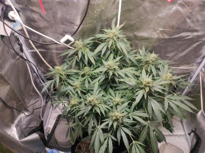 2023-05-12-19-45-30-590.jpg 2023-05-12-19-45-30-590.jpg