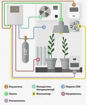 7042E00F-49E8-42FF-8E6A-BEFBD401036E.jpeg 7042E00F-49E8-42FF-8E6A-BEFBD401036E.jpeg