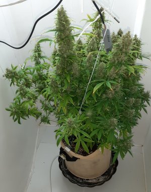 20230513_104839.jpg 20230513_104839.jpg