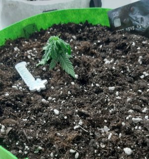 20230513_173111.jpg 20230513_173111.jpg