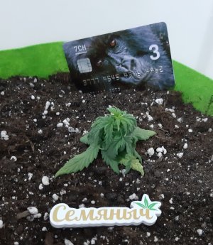 20230513_172925.jpg 20230513_172925.jpg