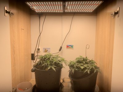 IMG_0982.jpeg IMG_0982.jpeg