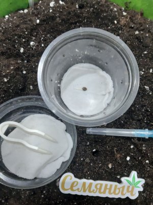 20230513_184853.jpg 20230513_184853.jpg