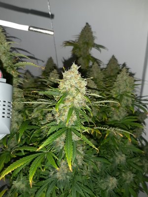 20230514_081712.jpg 20230514_081712.jpg