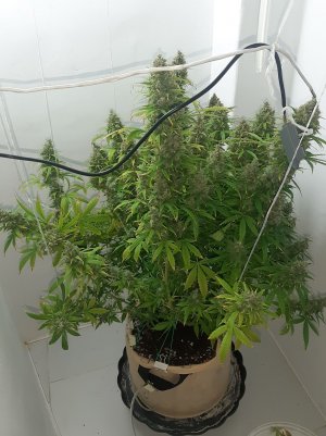 20230514_103028.jpg 20230514_103028.jpg