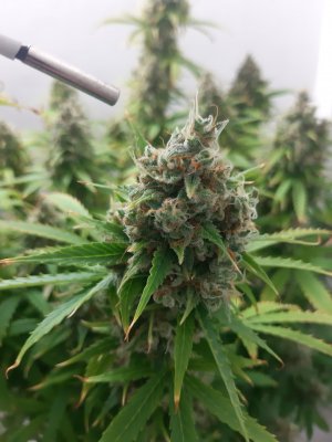 20230514_102954.jpg 20230514_102954.jpg