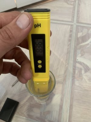 IMG_0991.jpeg IMG_0991.jpeg