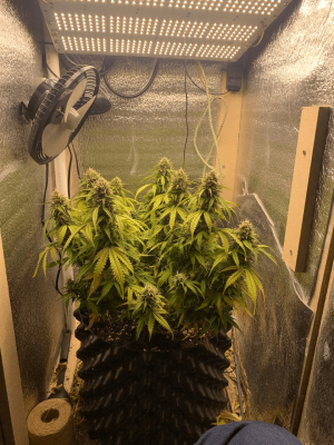 1684086762607.png 1684086762607.png