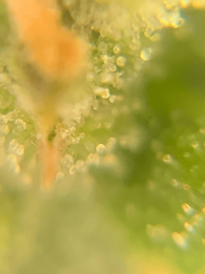 1684086817239.png 1684086817239.png