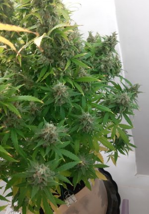 20230515_165832.jpg 20230515_165832.jpg