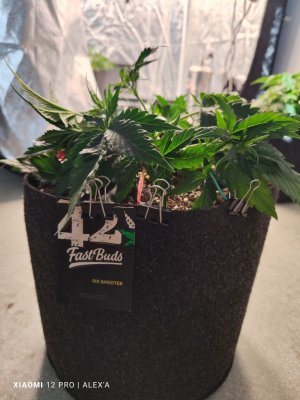 IMG_20230516_181412.jpg IMG_20230516_181412.jpg