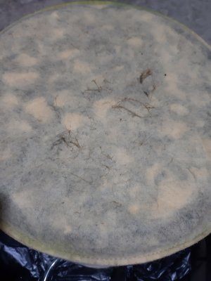 20230517_154344.jpg 20230517_154344.jpg