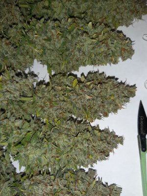 20230517_154820.jpg 20230517_154820.jpg