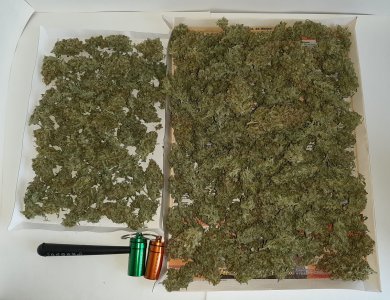 20230518_175725.jpg 20230518_175725.jpg