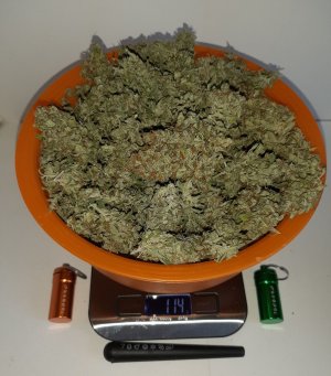 20230518_175647.jpg 20230518_175647.jpg